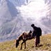 Fotogalerie der PakistanReisen
